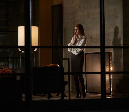 Nocturnal Animals (Animales nocturnos)
