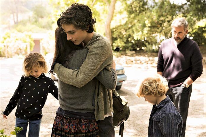 Frame from movie Beautiful Boy (2018)