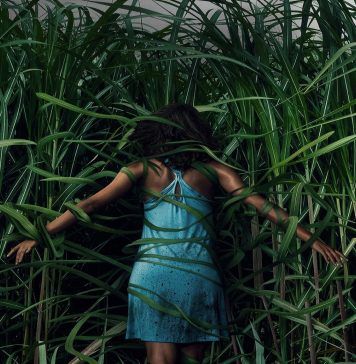 In the Tall Grass (En la hierba alta)