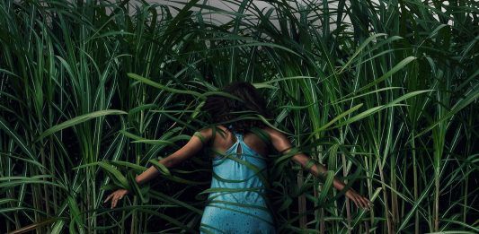 In the Tall Grass (En la hierba alta)